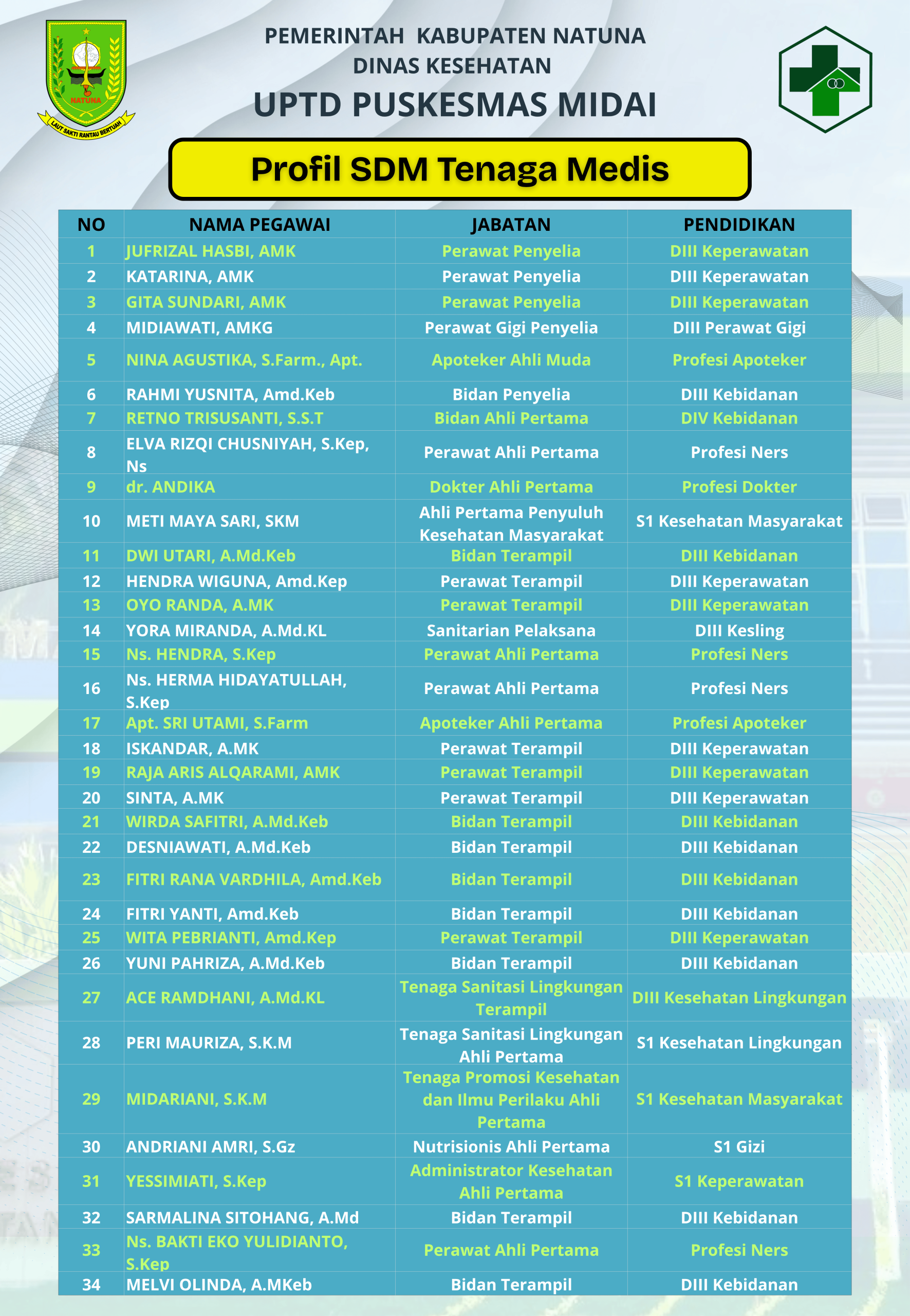 Profil Tenaga Medis (2)